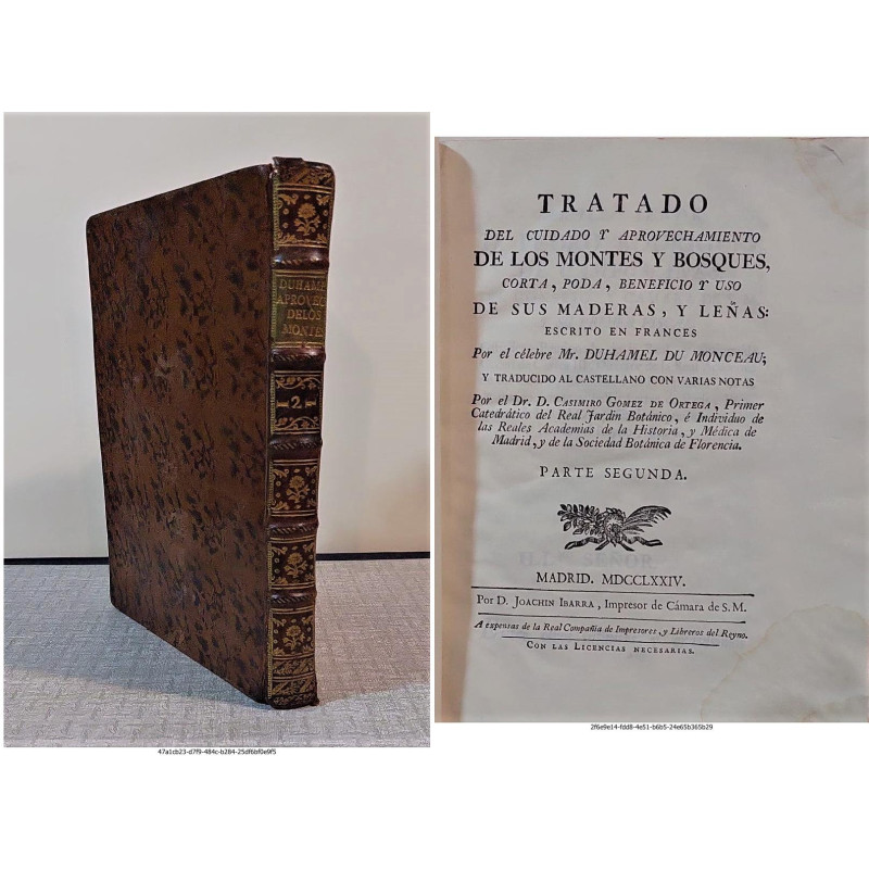 Tratado del cuidado y aprovechamiento de los montes y bosques, corta, poda, beneficio y uso de sus maderas y leñas. Traducido al