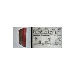 Principios para montar e instruir los caballos de guerra. Traducidos del francés por D. Francisco Cerdá y Rico.
