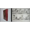 Principios para montar e instruir los caballos de guerra. Traducidos del francés por D. Francisco Cerdá y Rico.
