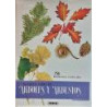 El gran libro de árboles y arbustos. Ilustraciones de Vlasta Matousová.