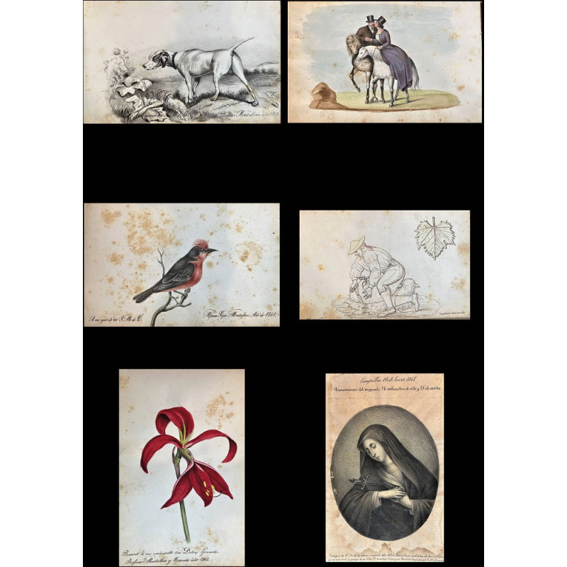 ALBUM. Colección de dibujos originales.
