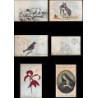 ALBUM. Colección de dibujos originales.