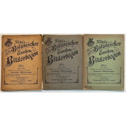 KÜHN'S Botanischer Taschen-Bilderbogen. Heft 1 - 2 - 3. Gewächse mitteleuropas.