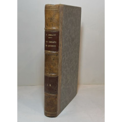 Un verano en Bornos. Lady Virginia. Novelas de costumbres. Prólogo de D. Emilio Olloqui.
