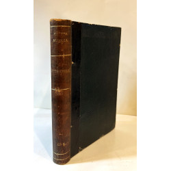 Estrazilla. Páginas madrileñas de 1866.
