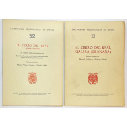 El Cerro del Real, Galera (Granada). Memoria. (Seguido de:) El corte estratigráfico.