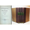 Litteratur og Historie. Studier og Essays.