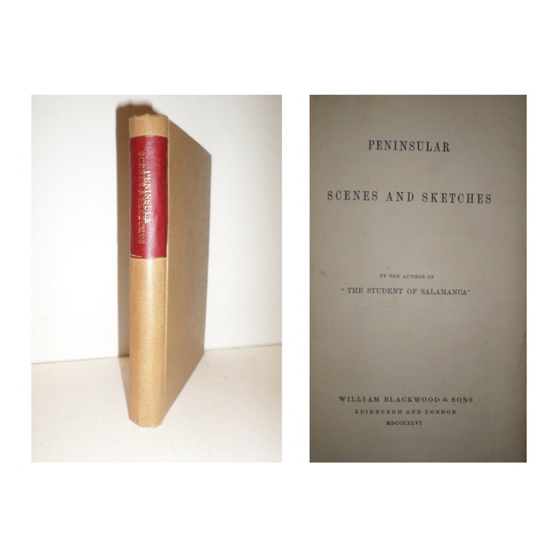 Peninsular Scenes and Sketches.