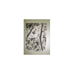 La Révolte des Anges. Illustré d'eaux-fortes de Pierre Watrin.
