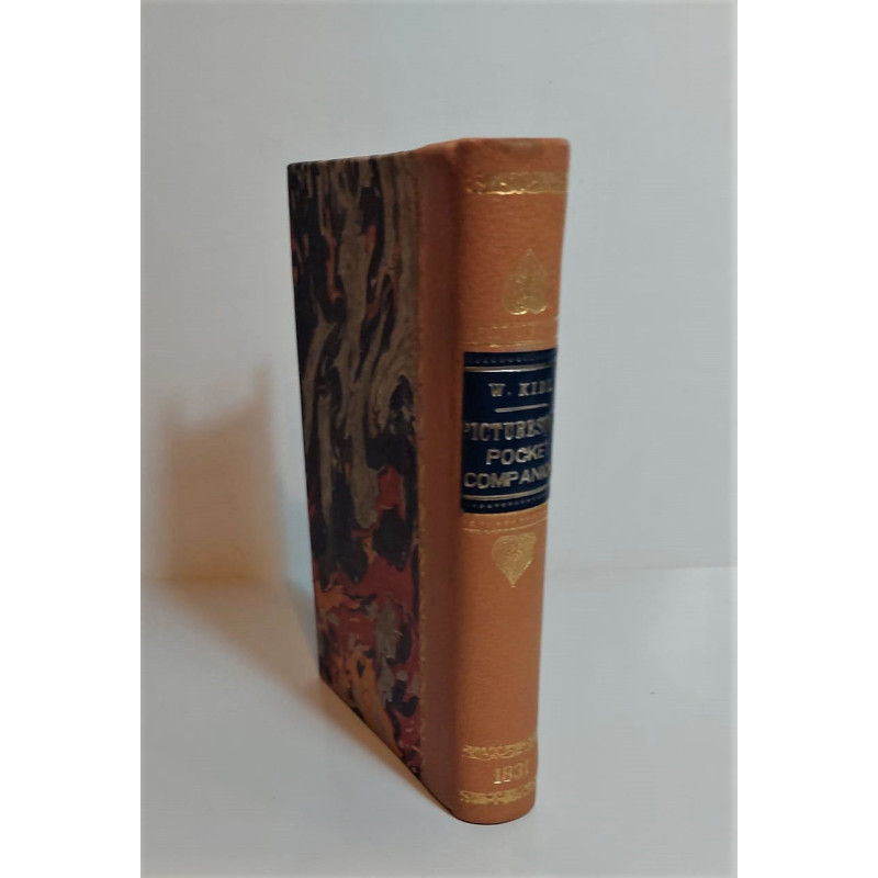 The picturesque Pocket Companion to Margate, Ramsgate, Broadstairs, and the parts adjacent illustrated with one hundred and twen