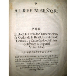 Al Rey N. Señor. Por el Doct. D…., su Oydor de la Real Chancillería de Granada, y Cathedrático de Prima de leyes en su Imperial