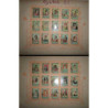 SERIE 21. [Álbum de fototipias de cajas de cerillas].