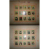 SERIE 20. [Álbum de fototipias de cajas de cerillas].