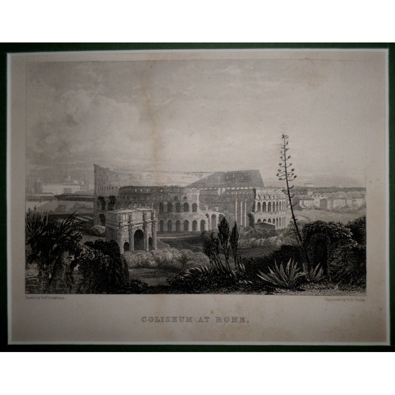 COLISEUM at Rome.