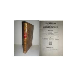 Principios de la Lengua Castellana,  o prueba contra todos los que asienta D. Vicente Salvá en su Gramática. Segunda edición, no