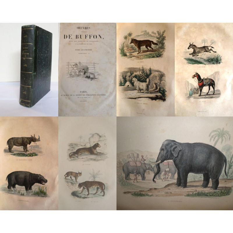 Oeuvres Completes de Buffon, avec des extraits de Daubenton et la classification de Cuvier. Tome Quatrième. Mammifères. II.