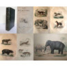 Oeuvres Completes de Buffon, avec des extraits de Daubenton et la classification de Cuvier. Tome Quatrième. Mammifères. II.