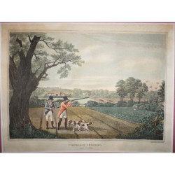 Partridge shooting near Windsor.