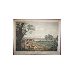 Partridge shooting near Windsor.