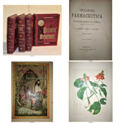 Enciclopedia Farmacéutica o Diccionario general de Farmacia teórico-práctico.