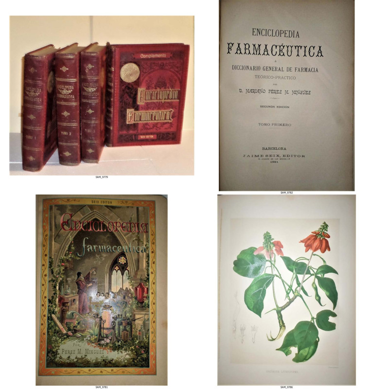 Enciclopedia Farmacéutica o Diccionario general de Farmacia teórico-práctico.