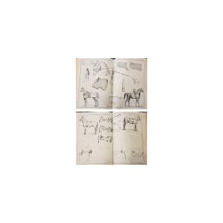 Manual del sillero y guarnicionero.