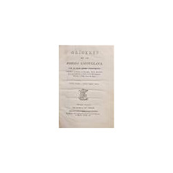 Orígenes de la poesía castellana. Segunda edición.